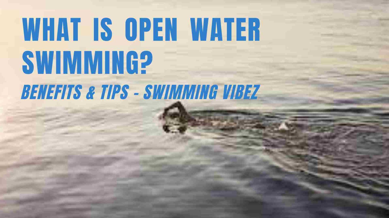 what-is-open-water-swimming-by-swimming-vibez